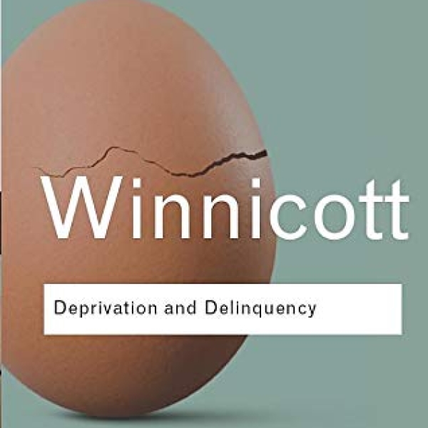 THE MEANING OF A CHILD&rsquo;S STEALING AND OTHER ANTISOCIAL BEHAVIOUR - PATRICK TOMLINSON (2014, Revised 2026)